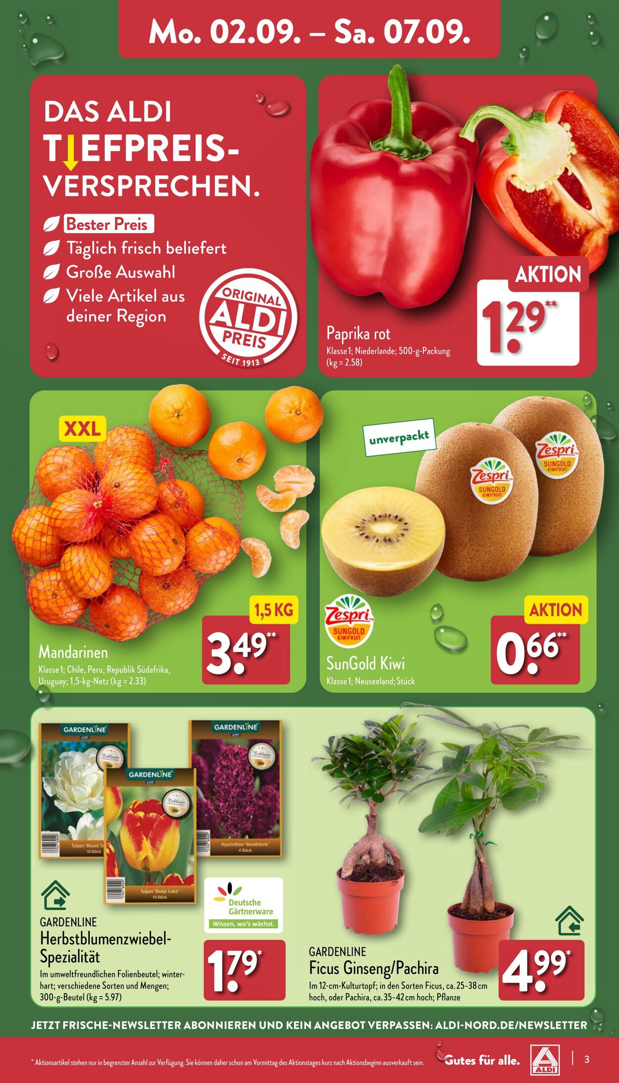 Prospekt Aldi-Nord 26.08.2024 - 31.08.2024