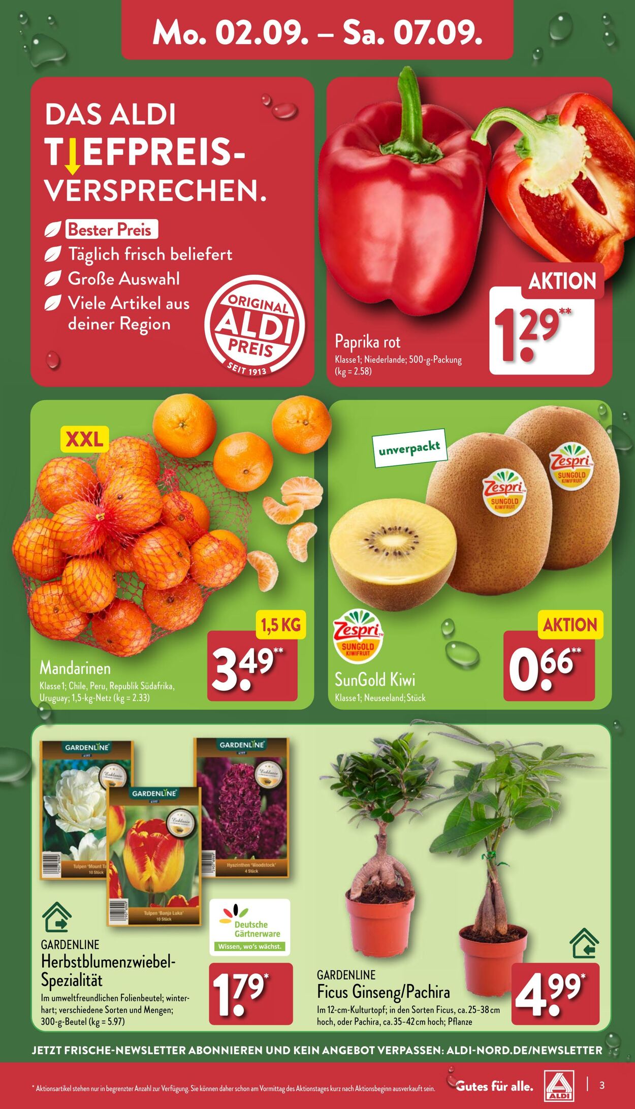 Prospekt Aldi-Nord 02.09.2024 - 07.09.2024