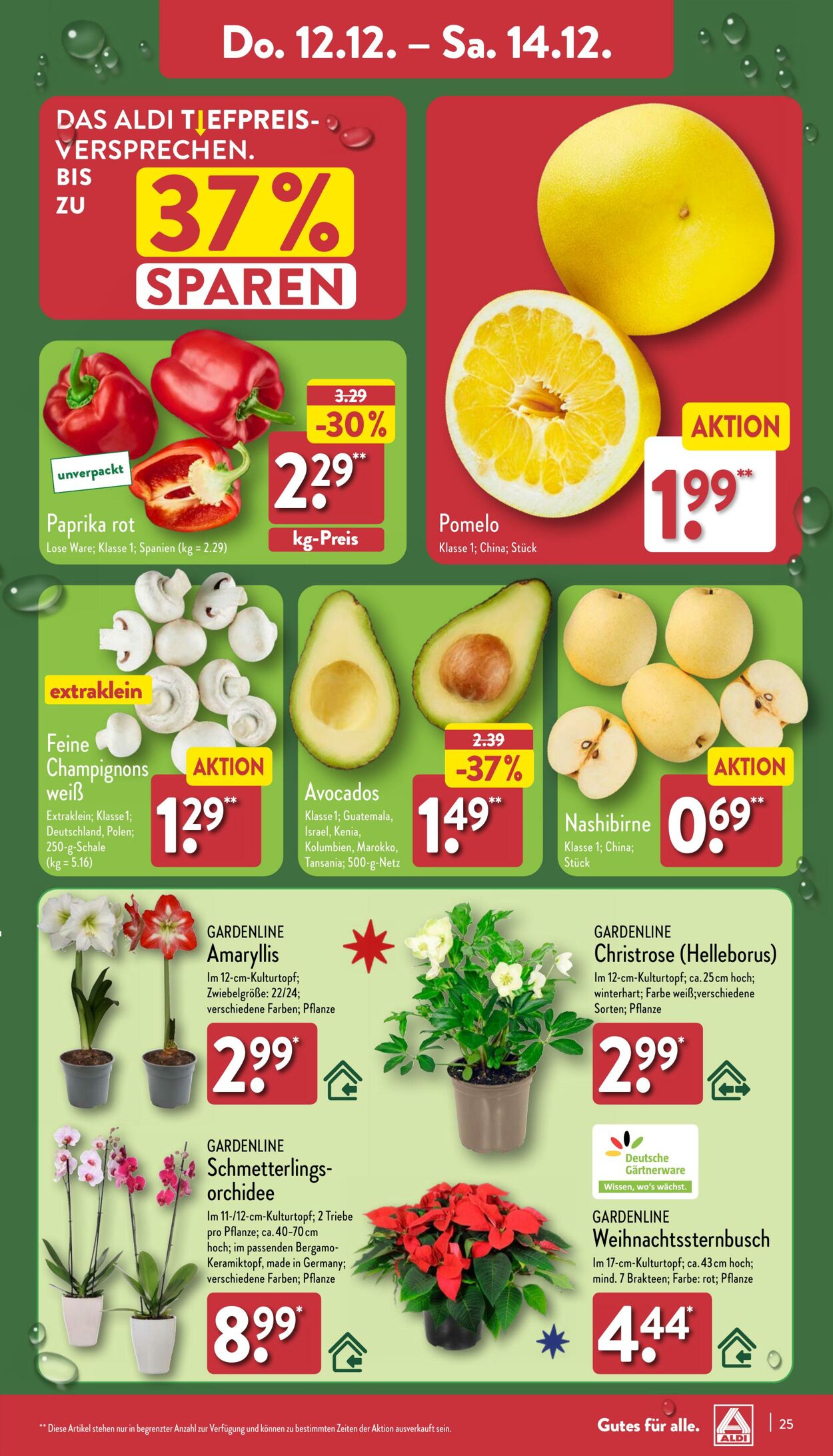 Prospekt Aldi-Nord 02.12.2024 - 07.12.2024