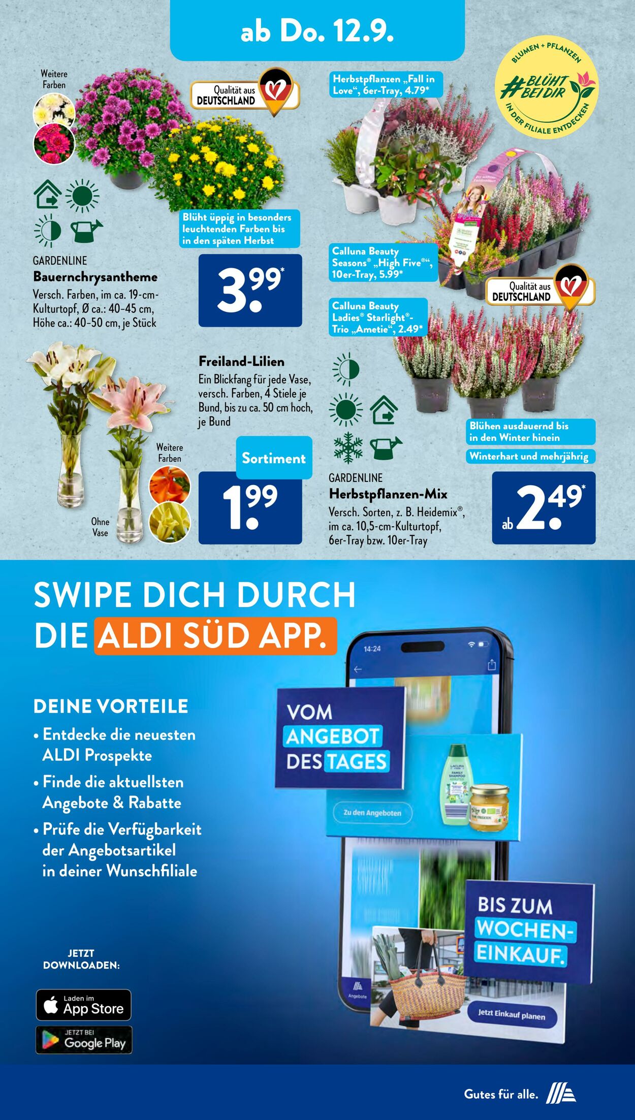 Prospekt ALDI SÜD 08.09.2024 - 14.09.2024