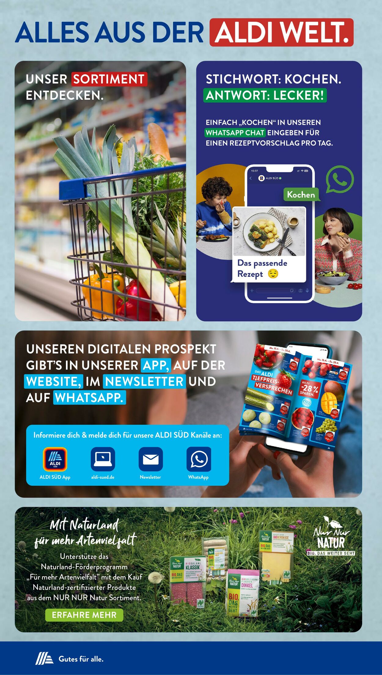 Prospekt ALDI SÜD 26.08.2024 - 31.08.2024