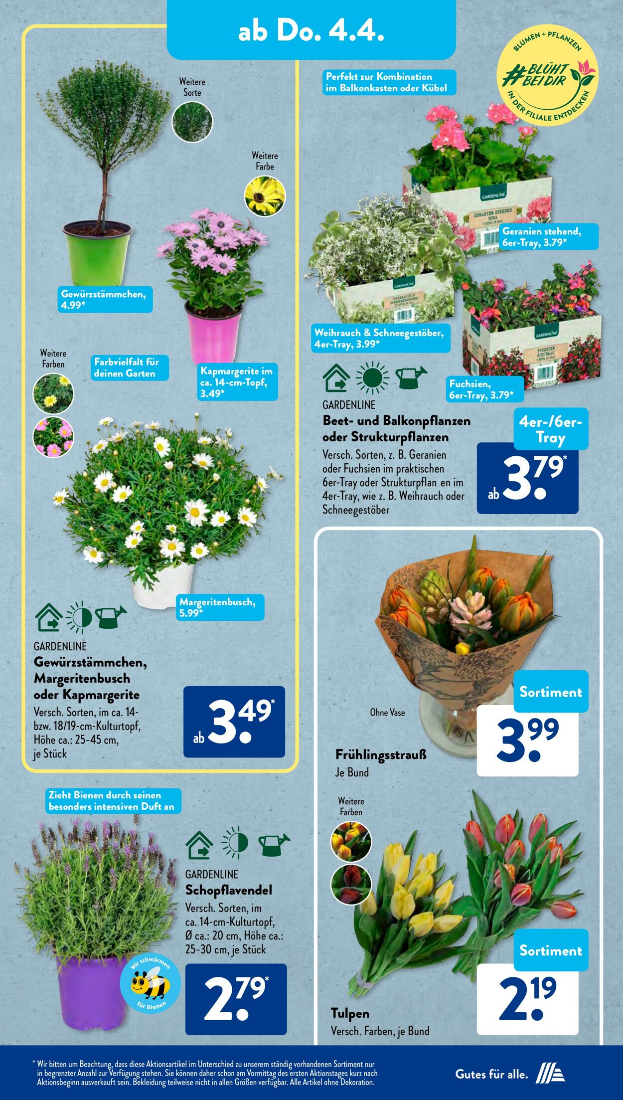 Prospekt ALDI SÜD 02.04.2024 - 06.04.2024