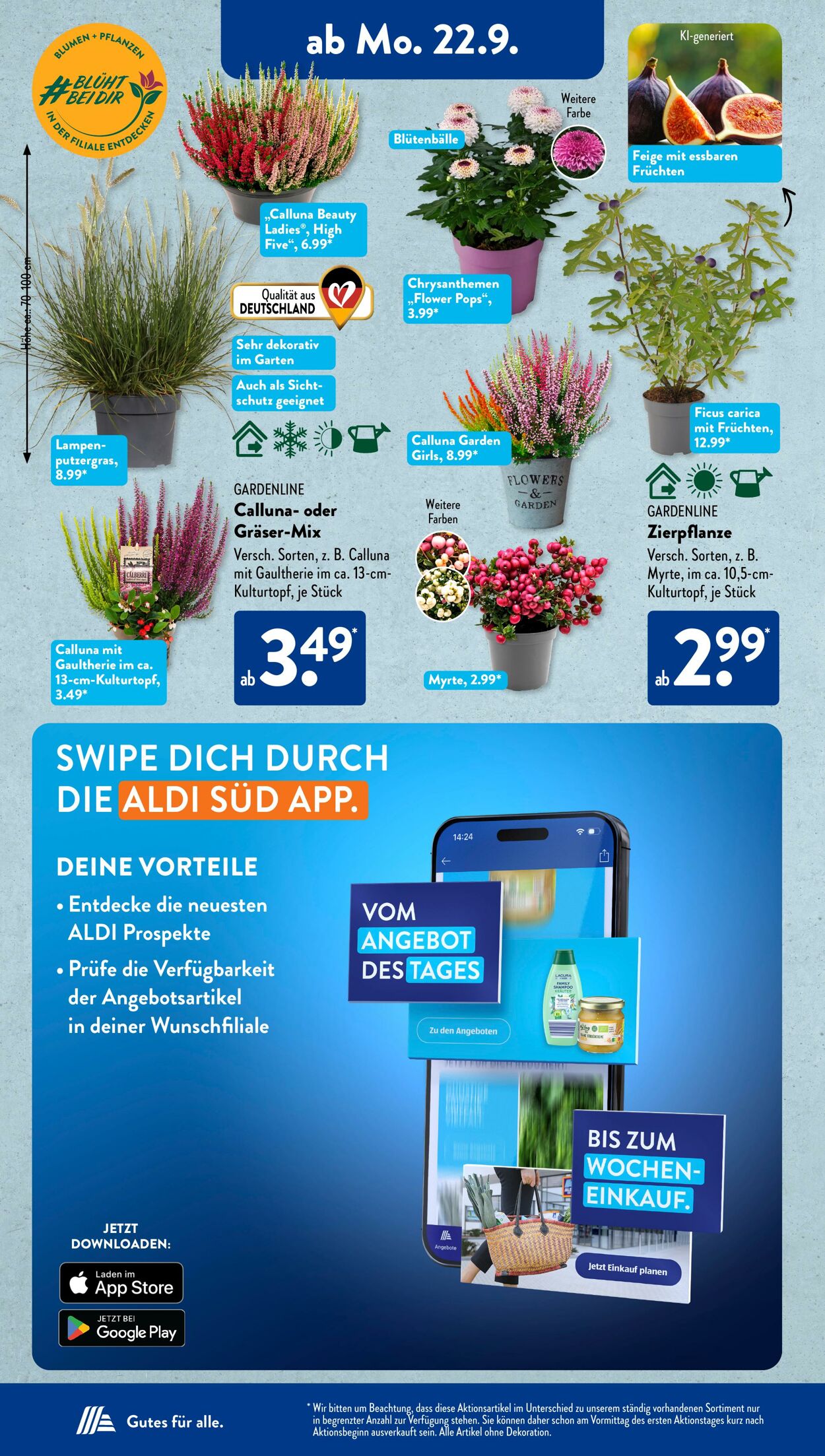 Prospekt ALDI SÜD 17.09.2025 - 01.10.2025