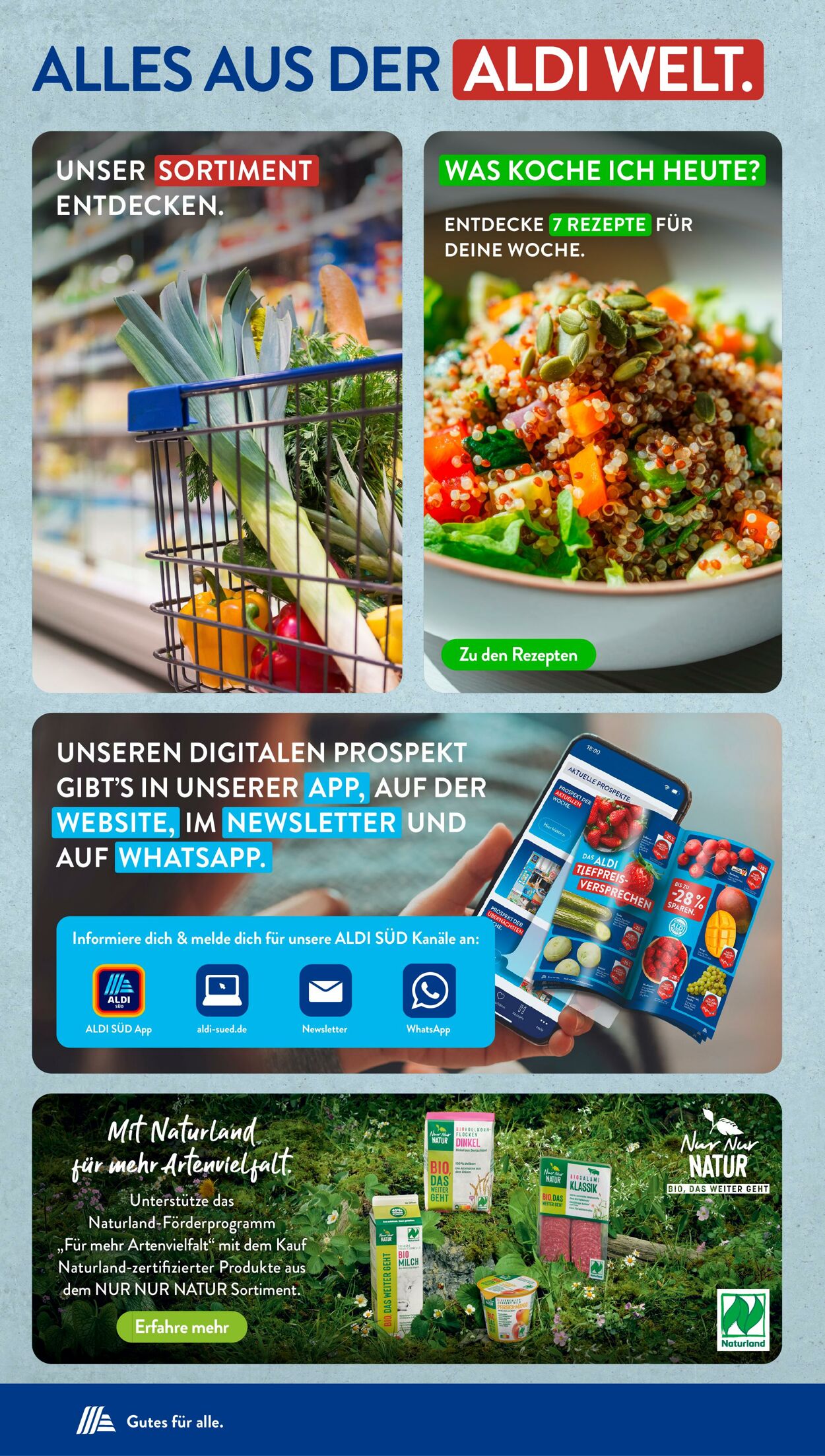 Prospekt ALDI SÜD 05.08.2025 - 19.08.2025