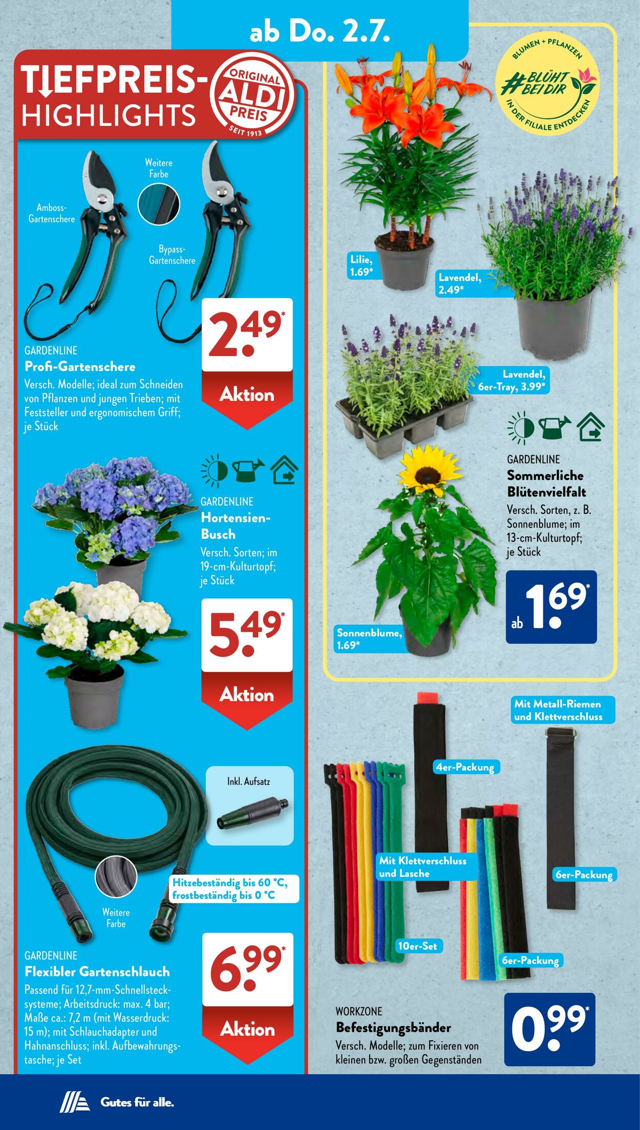 Prospekt ALDI SÜD 23.06.2026 - 01.07.2026