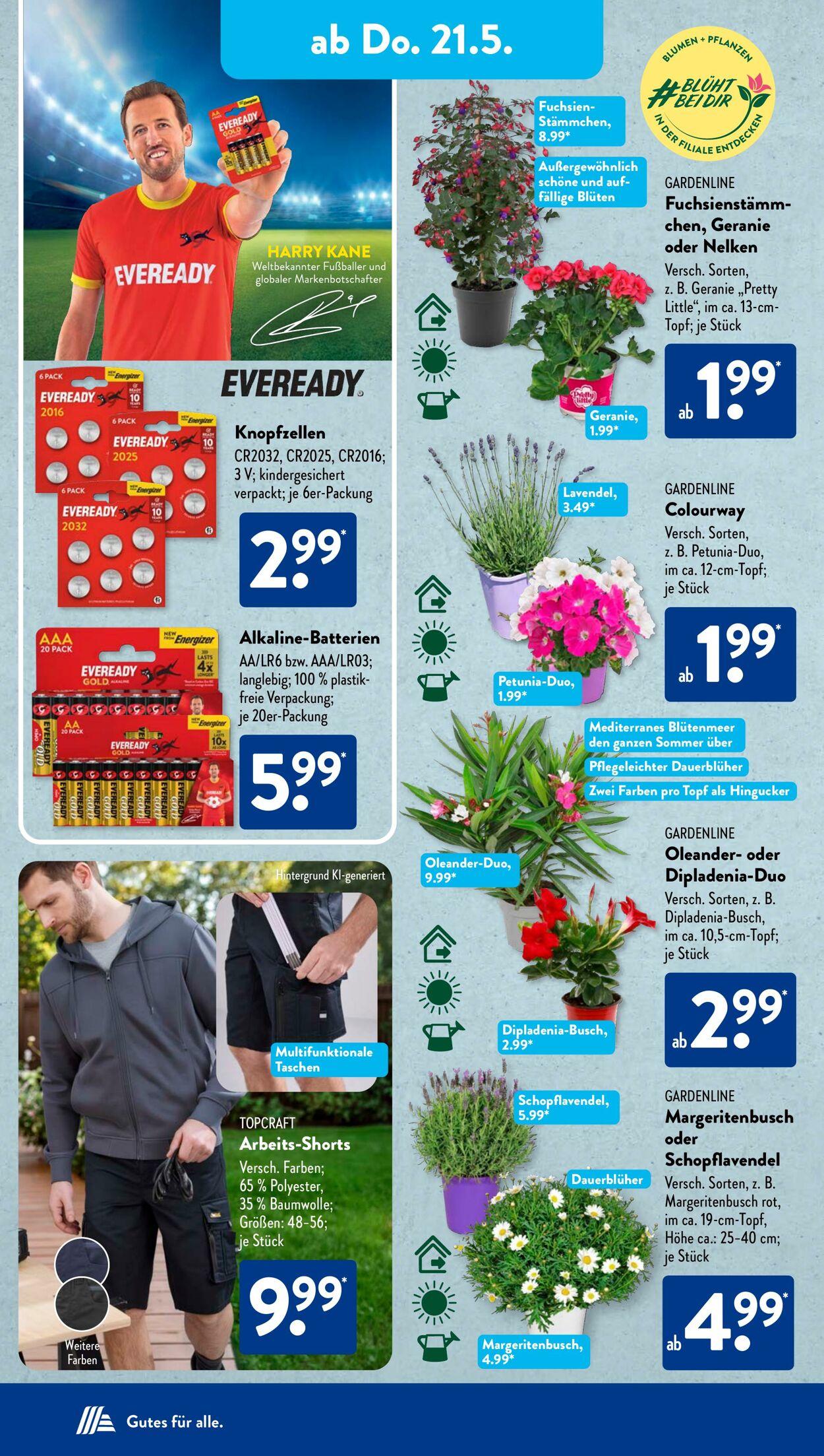 Prospekt ALDI SÜD 12.05.2026 - 20.05.2026