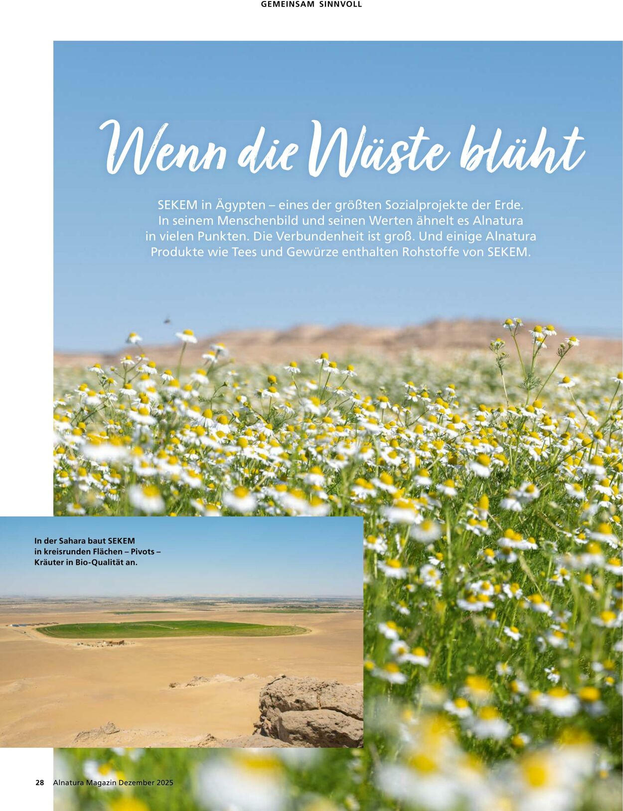 Prospekt Alnatura 01.12.2025 - 31.12.2025