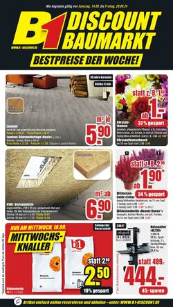 Prospekt B1 Discount Baumarkt 05.10.2024 - 11.10.2024