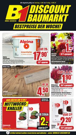Prospekt B1 Discount Baumarkt 13.09.2025 - 19.09.2025