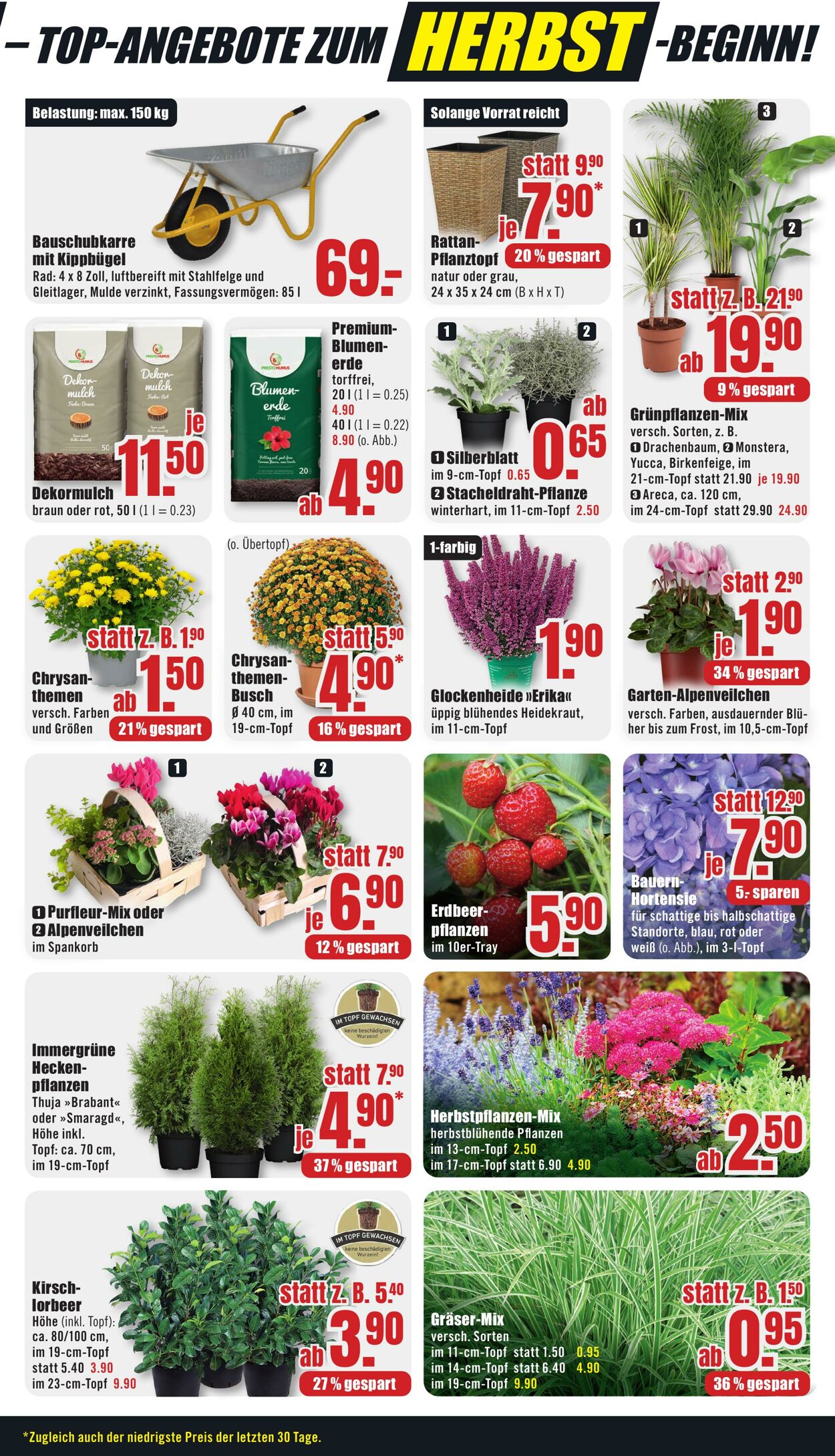 Prospekt B1 Discount Baumarkt 23.08.2025 - 29.08.2025