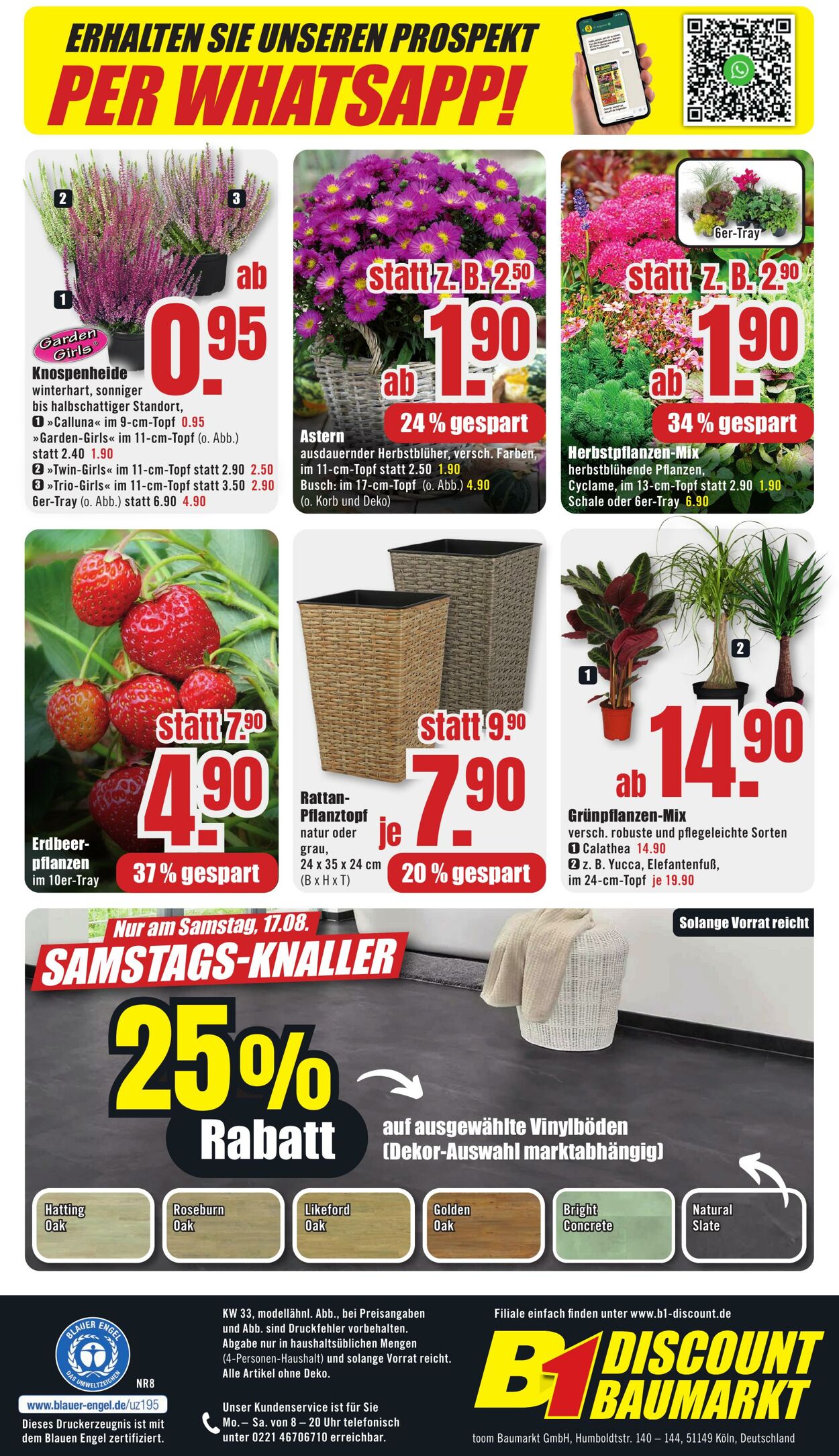 Prospekt B1 Discount Baumarkt 10.08.2024 - 16.08.2024