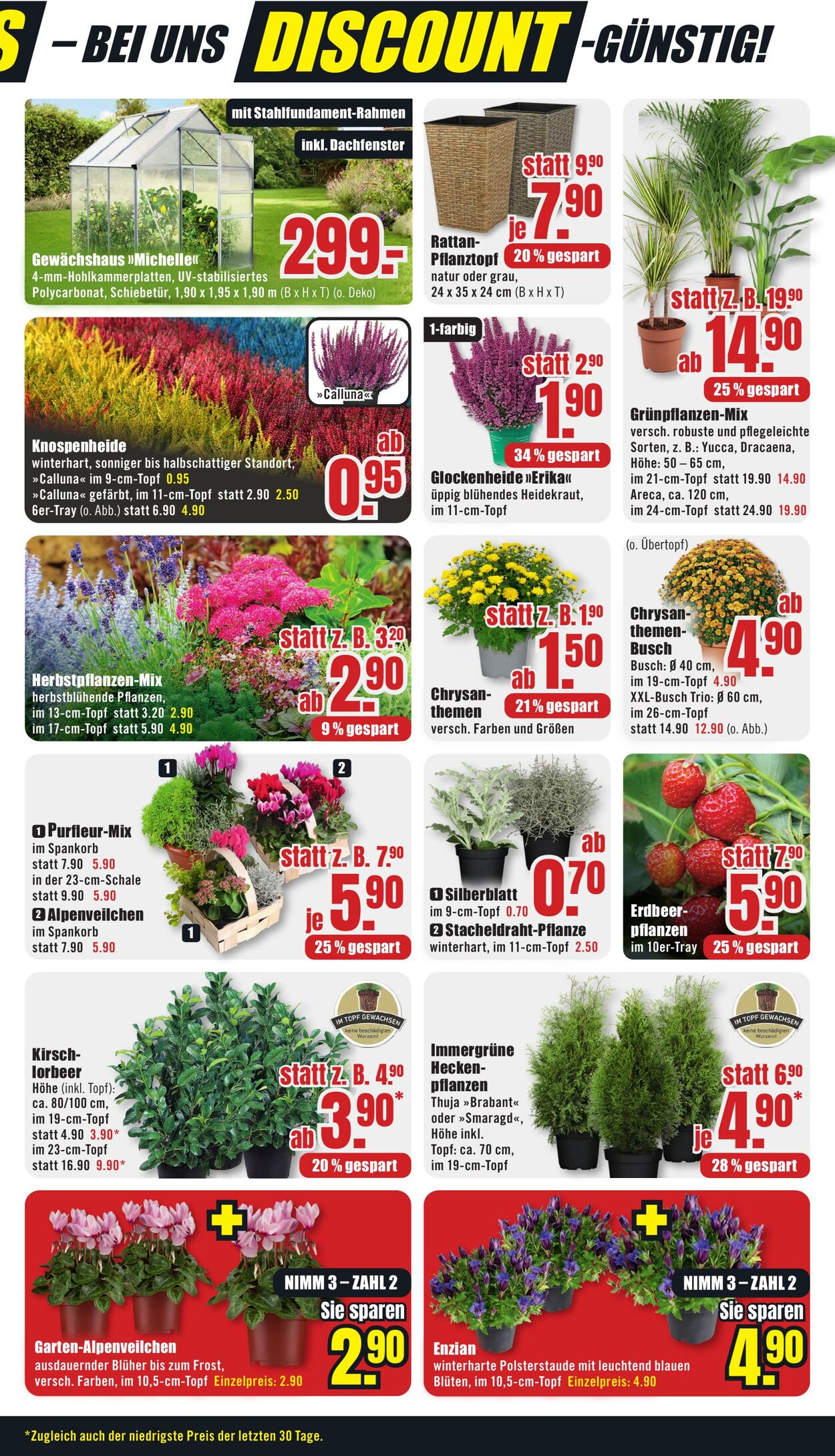 Prospekt B1 Discount Baumarkt 24.08.2024 - 30.08.2024