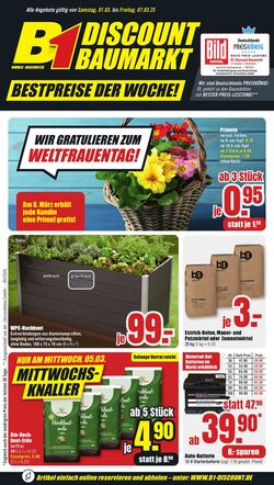 Prospekt B1 Discount Baumarkt 28.12.2024 - 03.01.2025