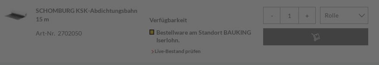 Prospekt Bauking 22.12.2025 - 31.12.2025