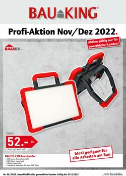 Prospekt Bauking 01.11.2022 - 31.12.2022