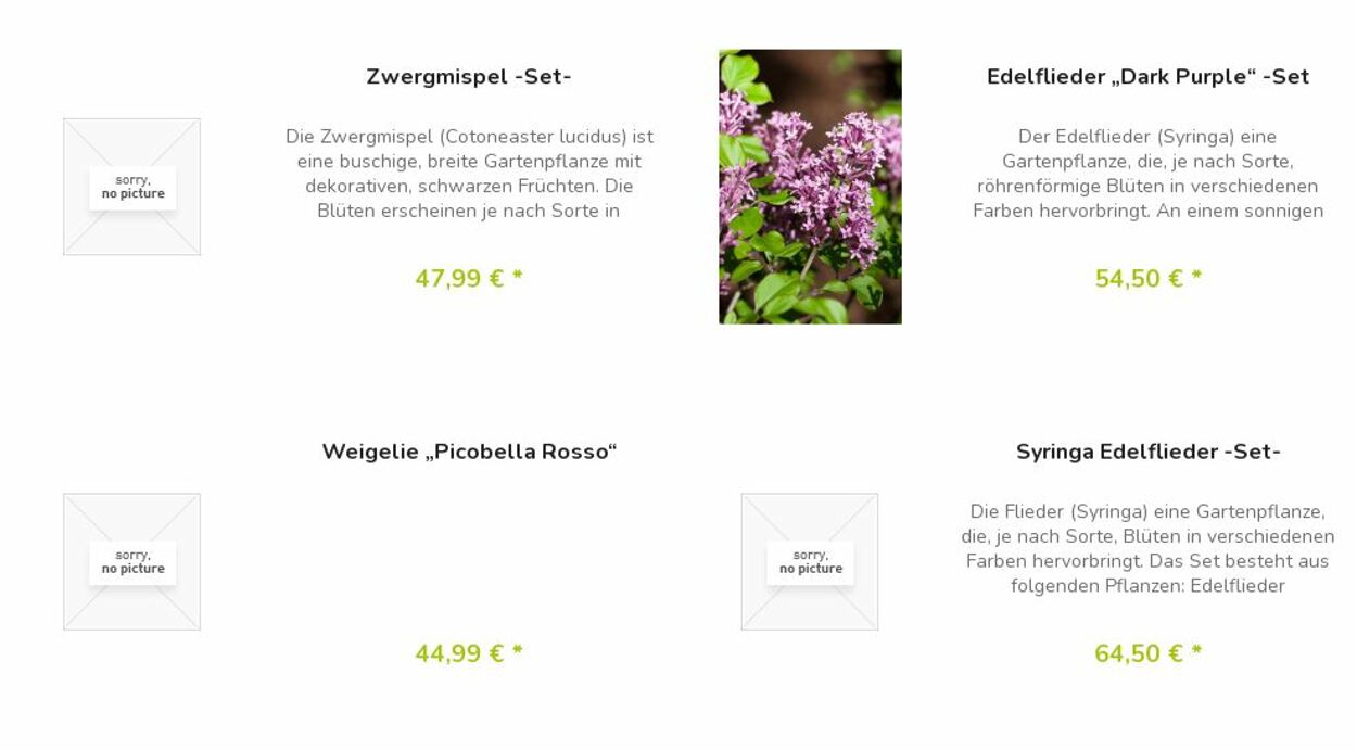 Prospekt Blumen Risse 24.04.2023 - 03.05.2023