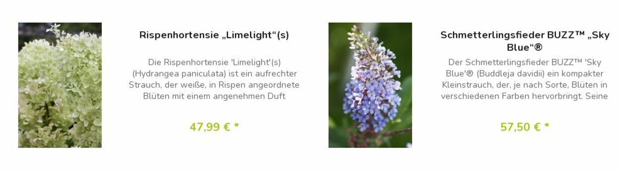 Prospekt Blumen Risse 17.04.2023 - 26.04.2023