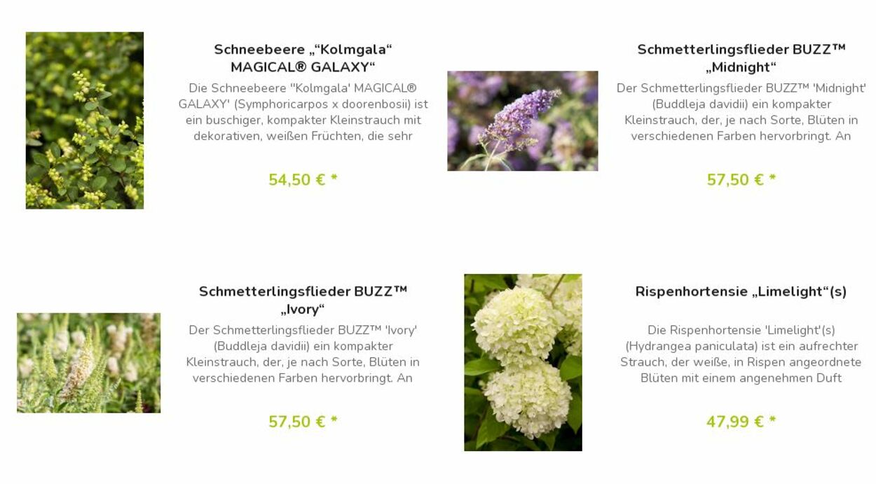 Prospekt Blumen Risse 17.04.2023 - 26.04.2023