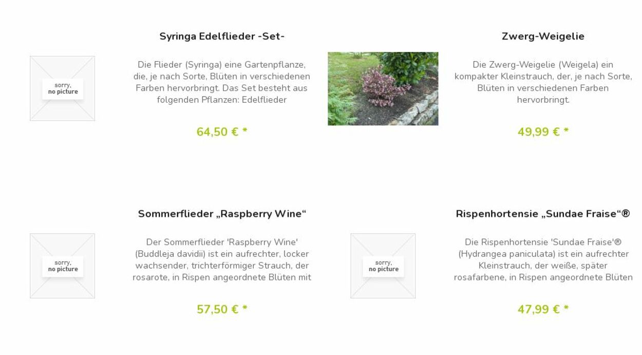 Prospekt Blumen Risse 17.04.2023 - 26.04.2023