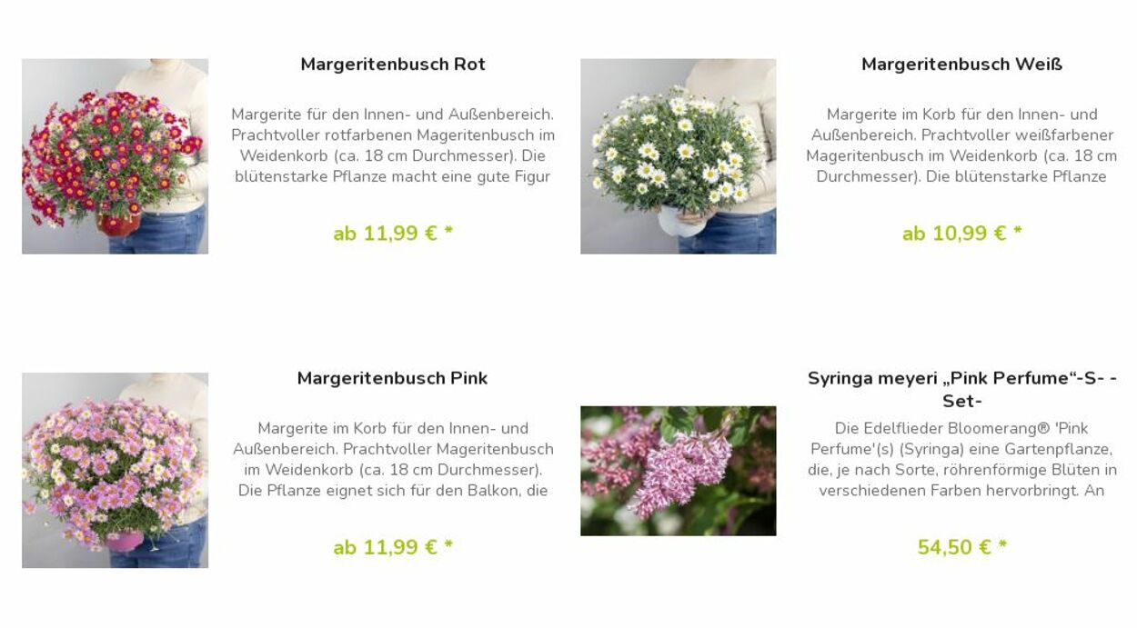 Prospekt Blumen Risse 08.05.2023 - 17.05.2023