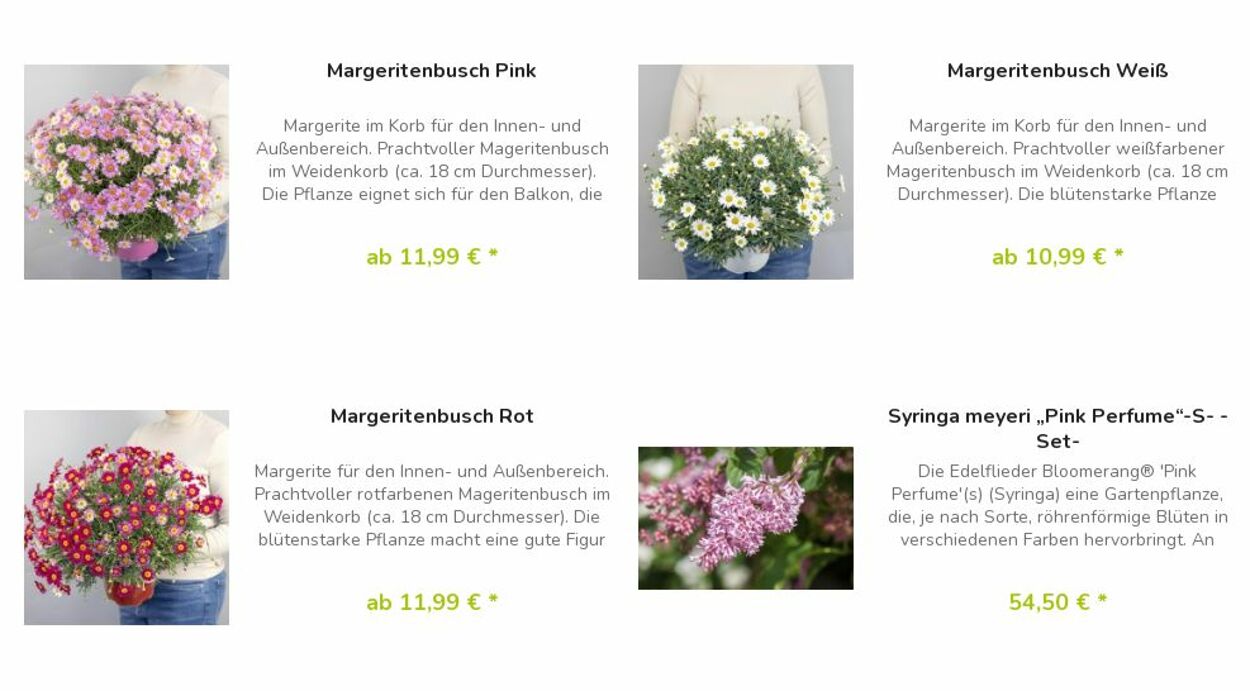 Prospekt Blumen Risse 01.05.2023 - 10.05.2023