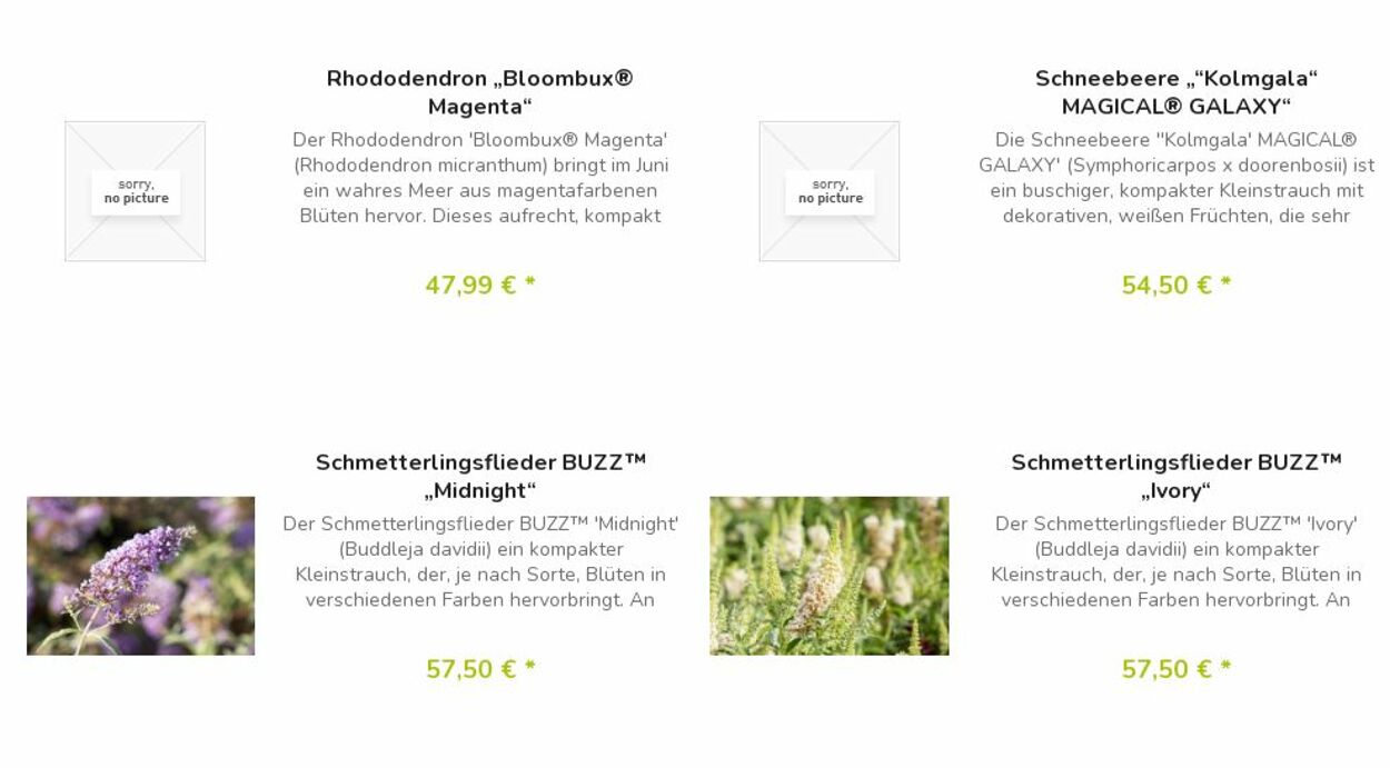 Prospekt Blumen Risse 22.05.2023 - 31.05.2023