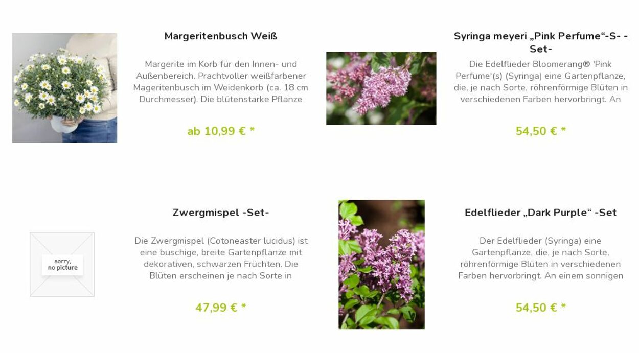 Prospekt Blumen Risse 22.05.2023 - 31.05.2023