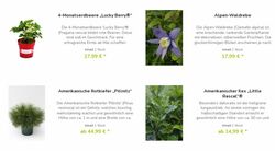 Katalog Blumen Risse 04.07.2022-13.07.2022