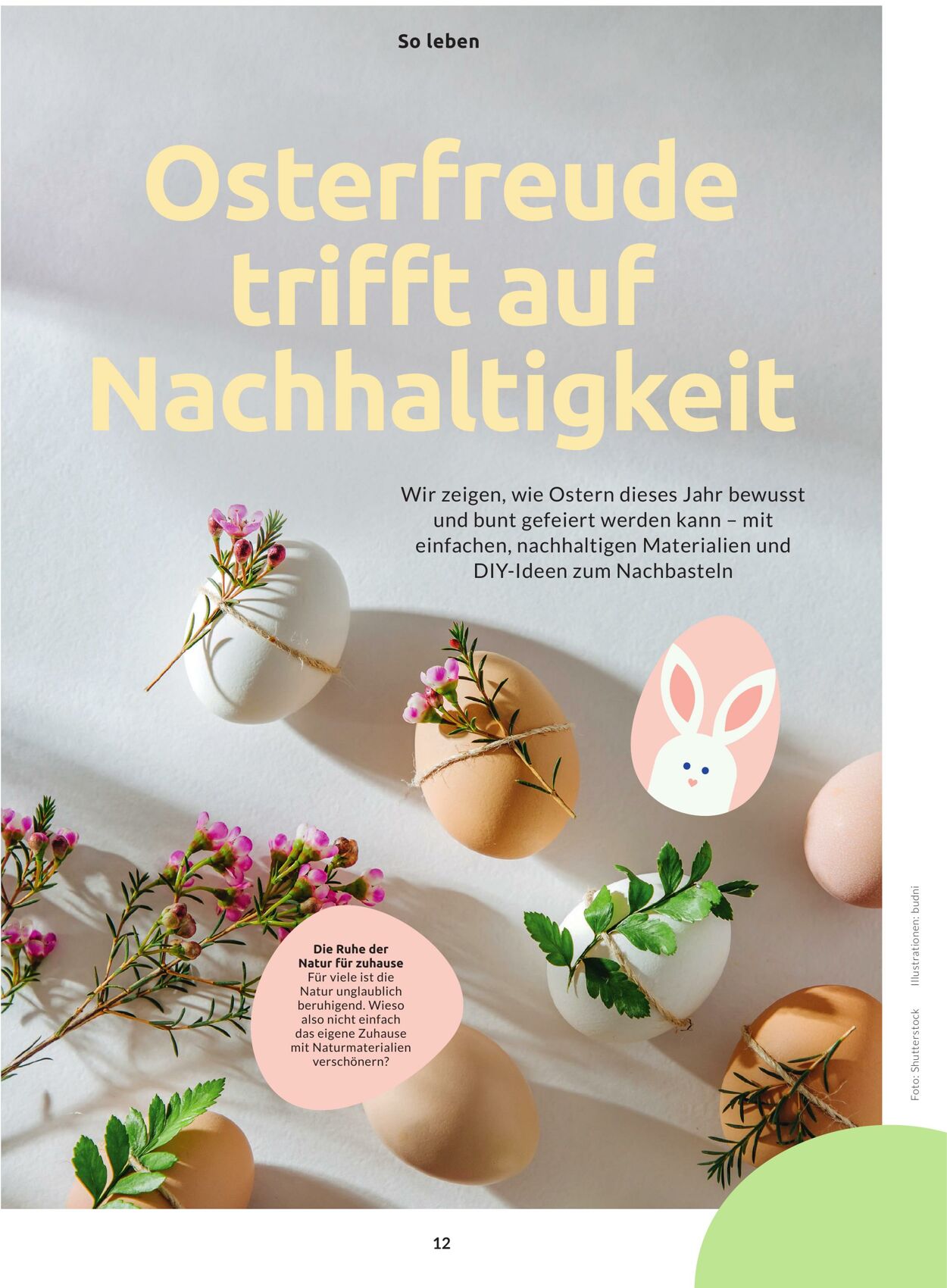 Prospekt Budni 26.02.2026 - 06.03.2026