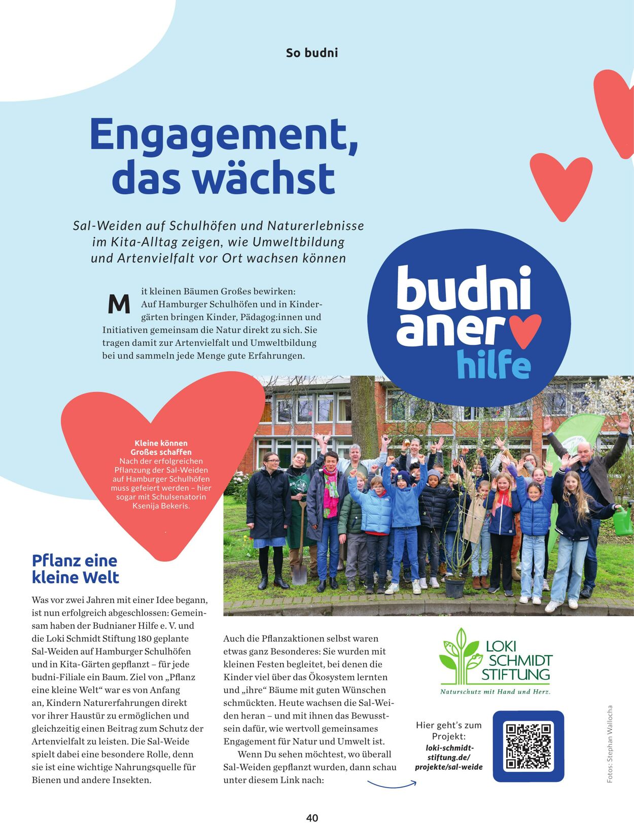 Prospekt Budni 26.02.2026 - 06.03.2026
