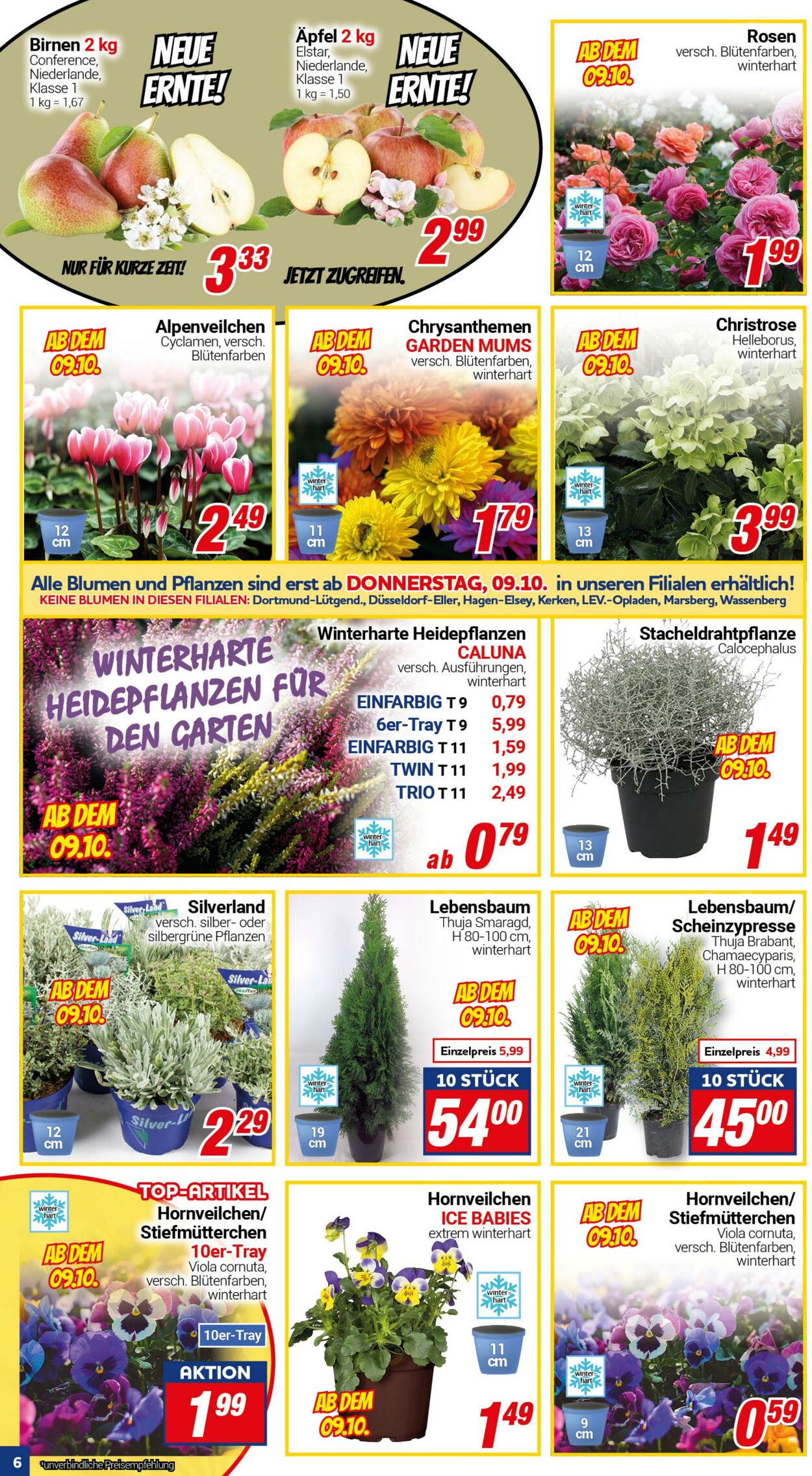 Prospekt CENTERSHOP 29.09.2025 - 04.10.2025