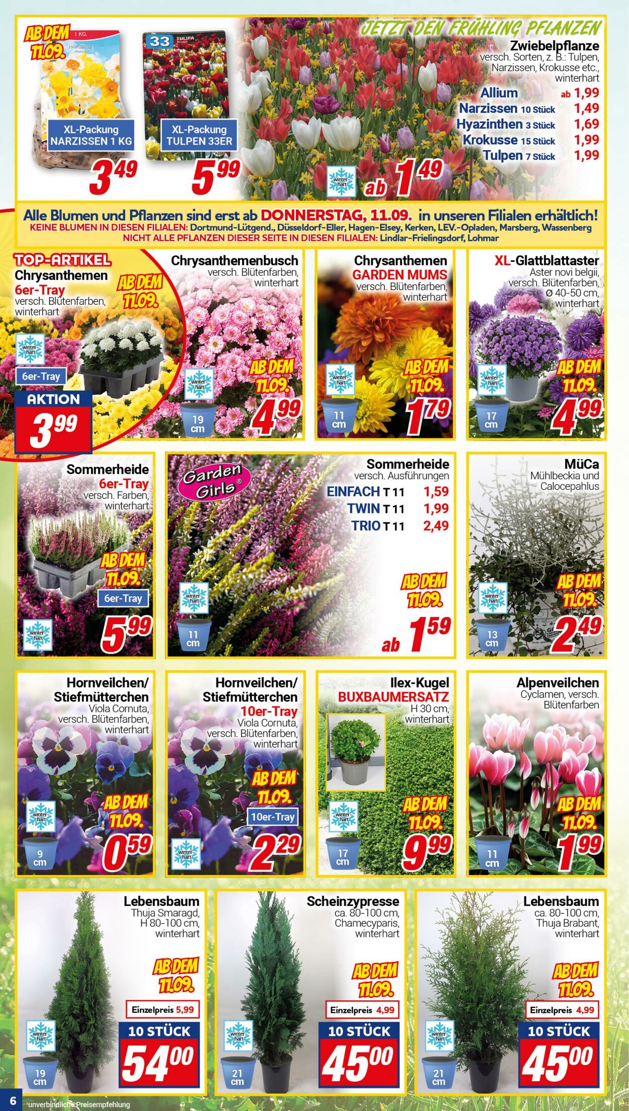 Prospekt CENTERSHOP 08.09.2025 - 13.09.2025