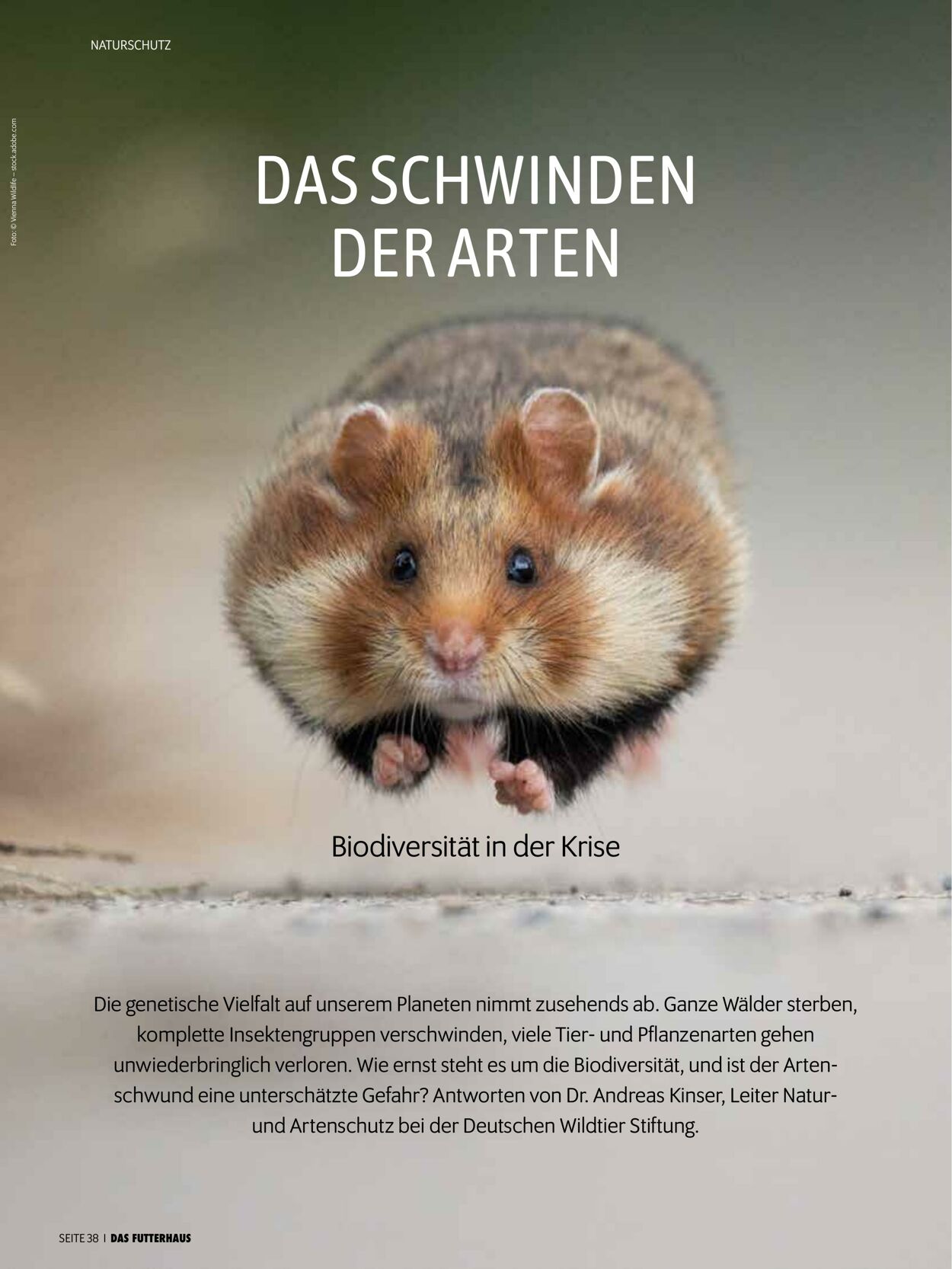Prospekt Das Futterhaus 01.12.2025 - 31.12.2025
