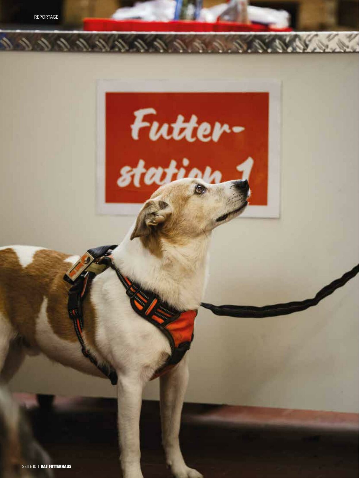 Prospekt Das Futterhaus 01.12.2025 - 31.12.2025