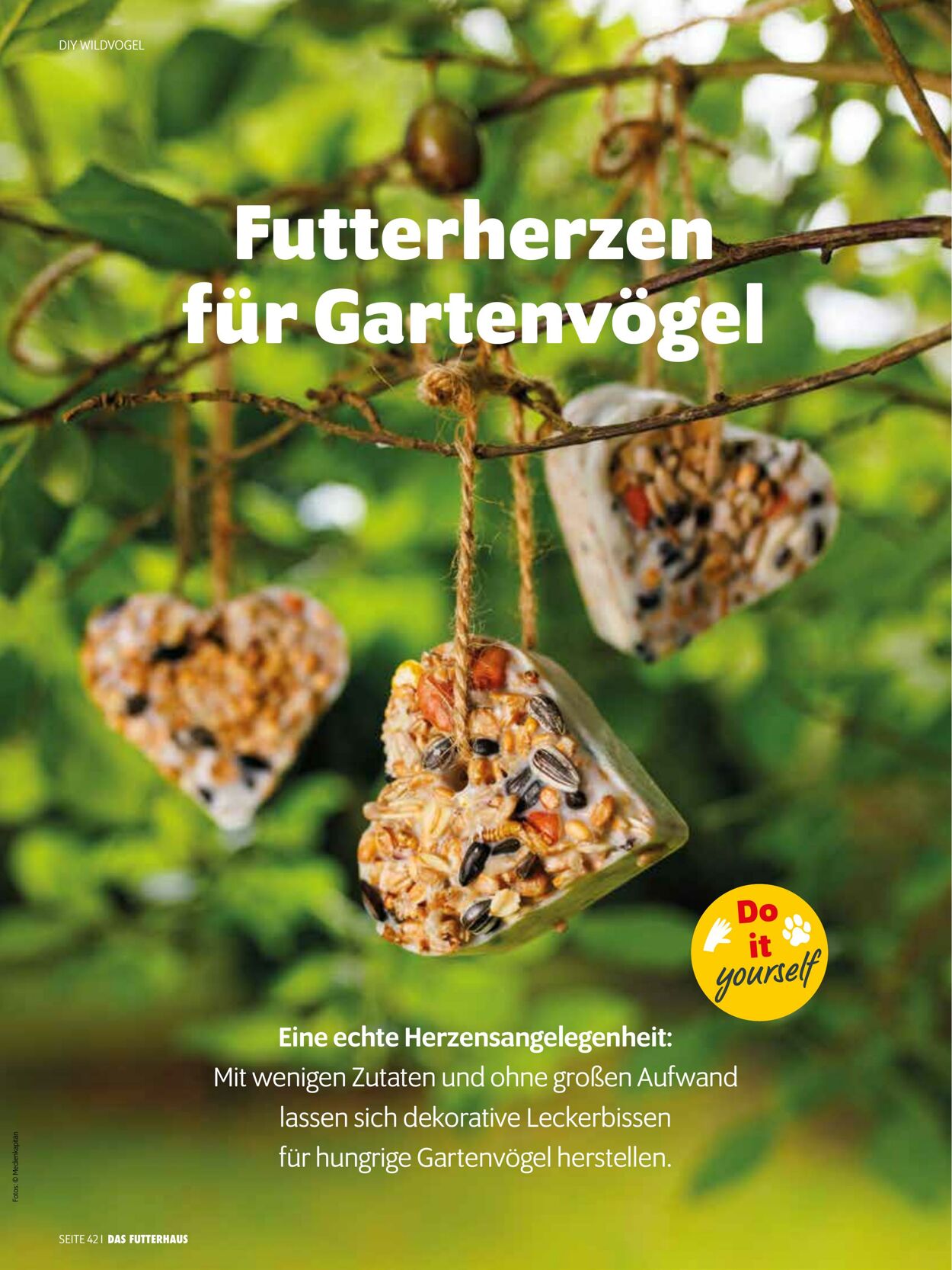 Prospekt Das Futterhaus 01.12.2025 - 31.12.2025