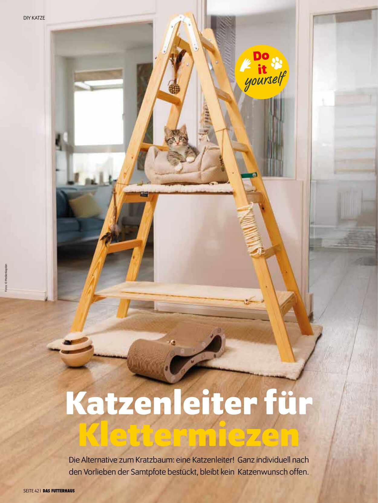 Prospekt Das Futterhaus 01.10.2025 - 31.10.2025