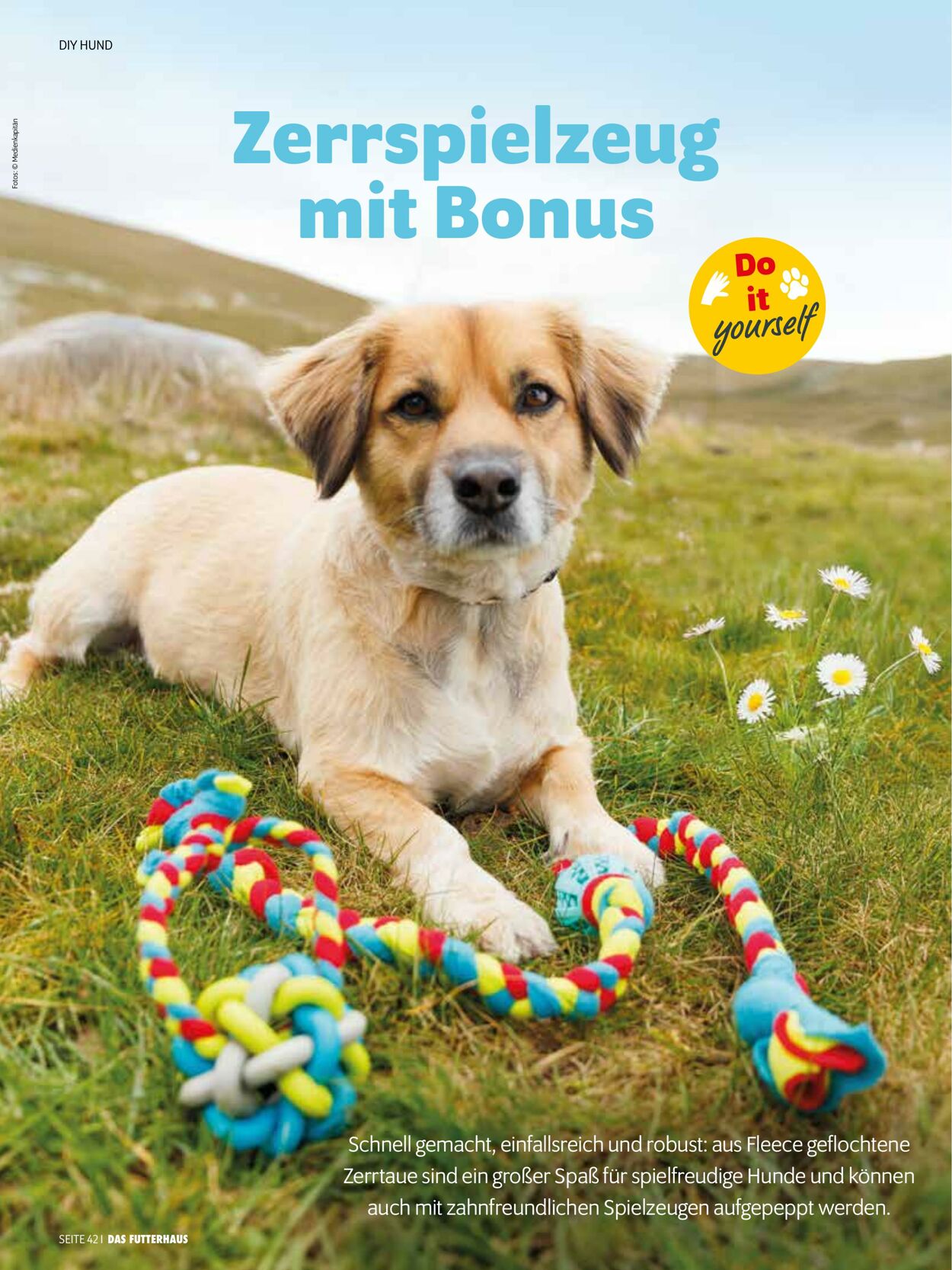 Prospekt Das Futterhaus 01.06.2025 - 30.06.2025