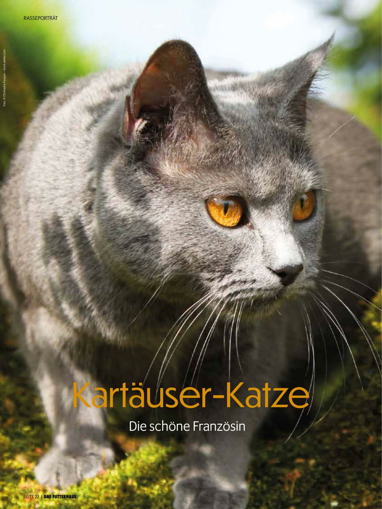 Prospekt Das Futterhaus 01.06.2025 - 30.06.2025