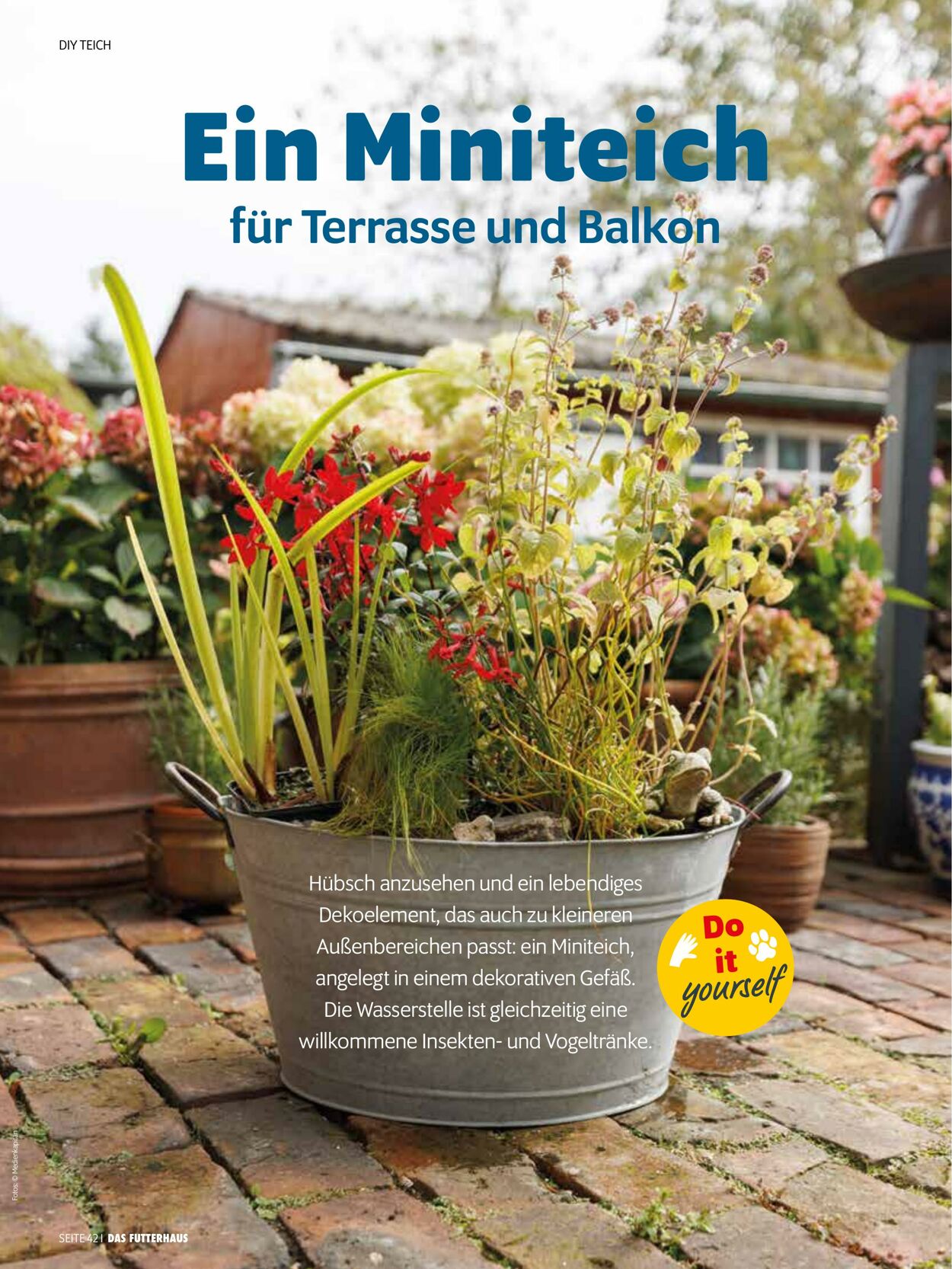 Prospekt Das Futterhaus 01.06.2025 - 30.06.2025