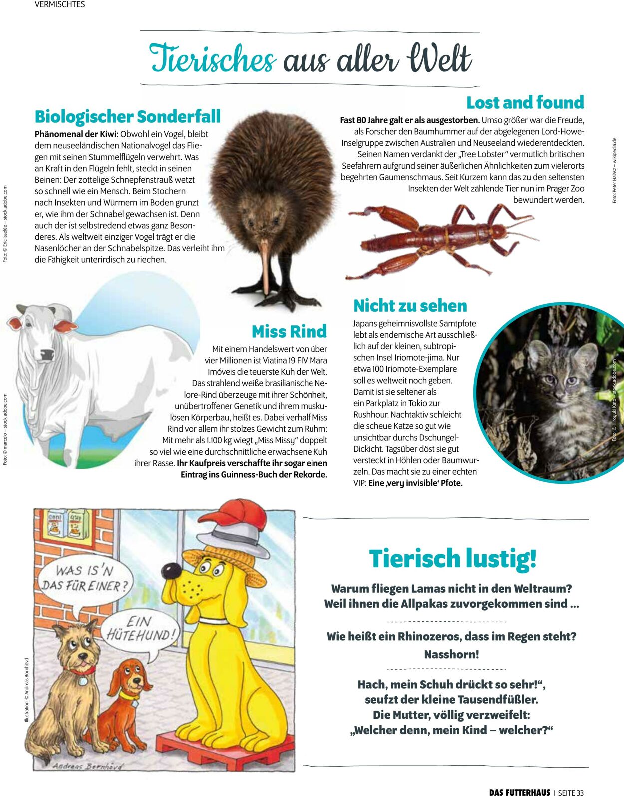 Prospekt Das Futterhaus 01.11.2025 - 30.11.2025