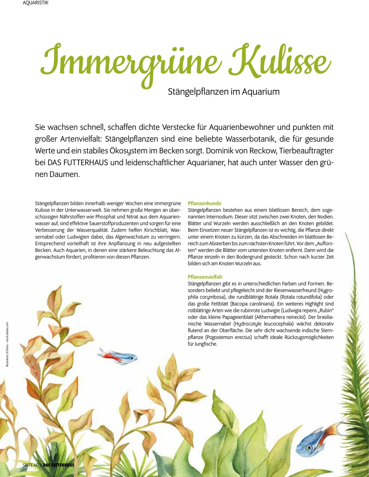 Prospekt Das Futterhaus 01.11.2025 - 30.11.2025