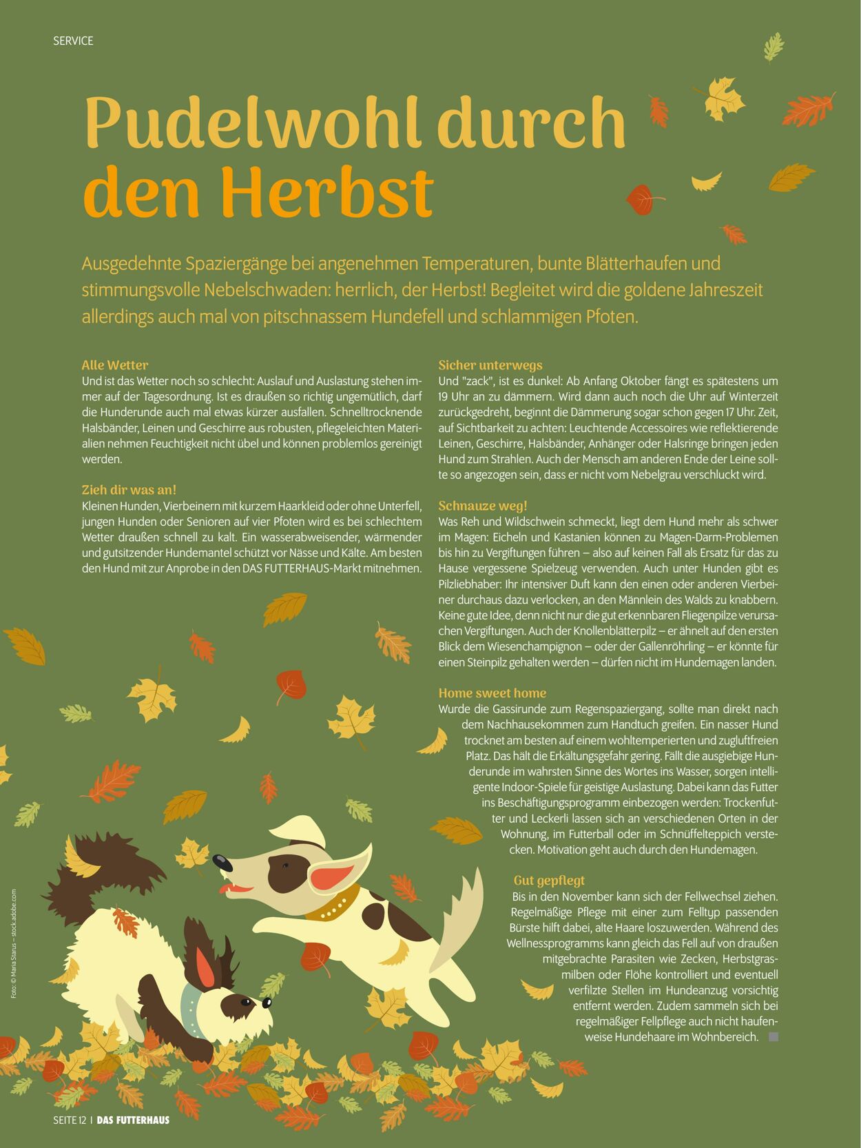 Prospekt Das Futterhaus 01.11.2025 - 30.11.2025