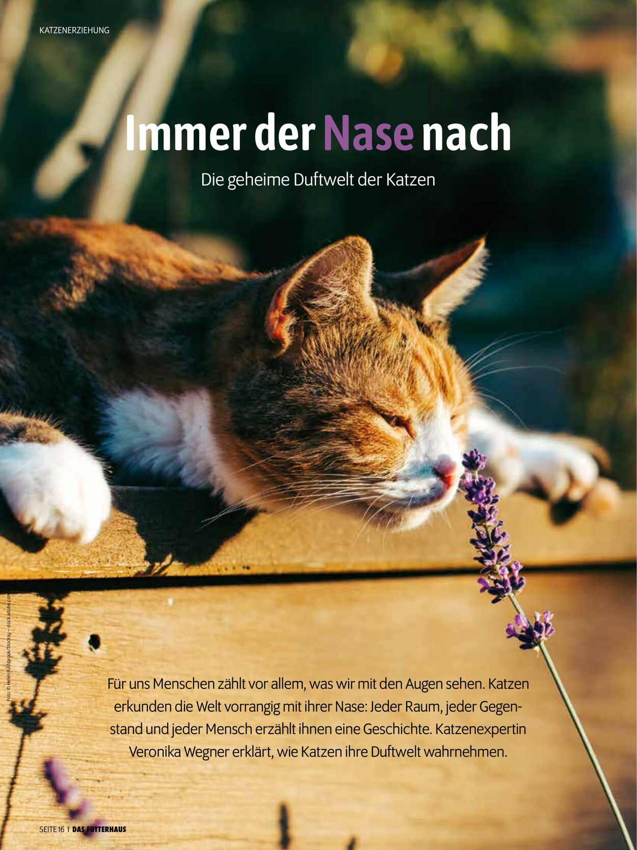 Prospekt Das Futterhaus 01.03.2026 - 31.03.2026