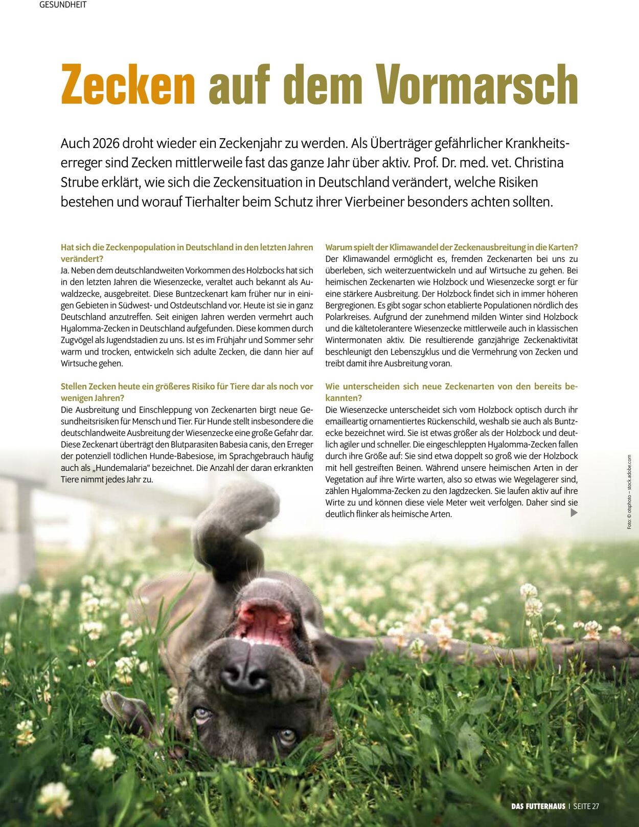 Prospekt Das Futterhaus 01.04.2026 - 30.04.2026