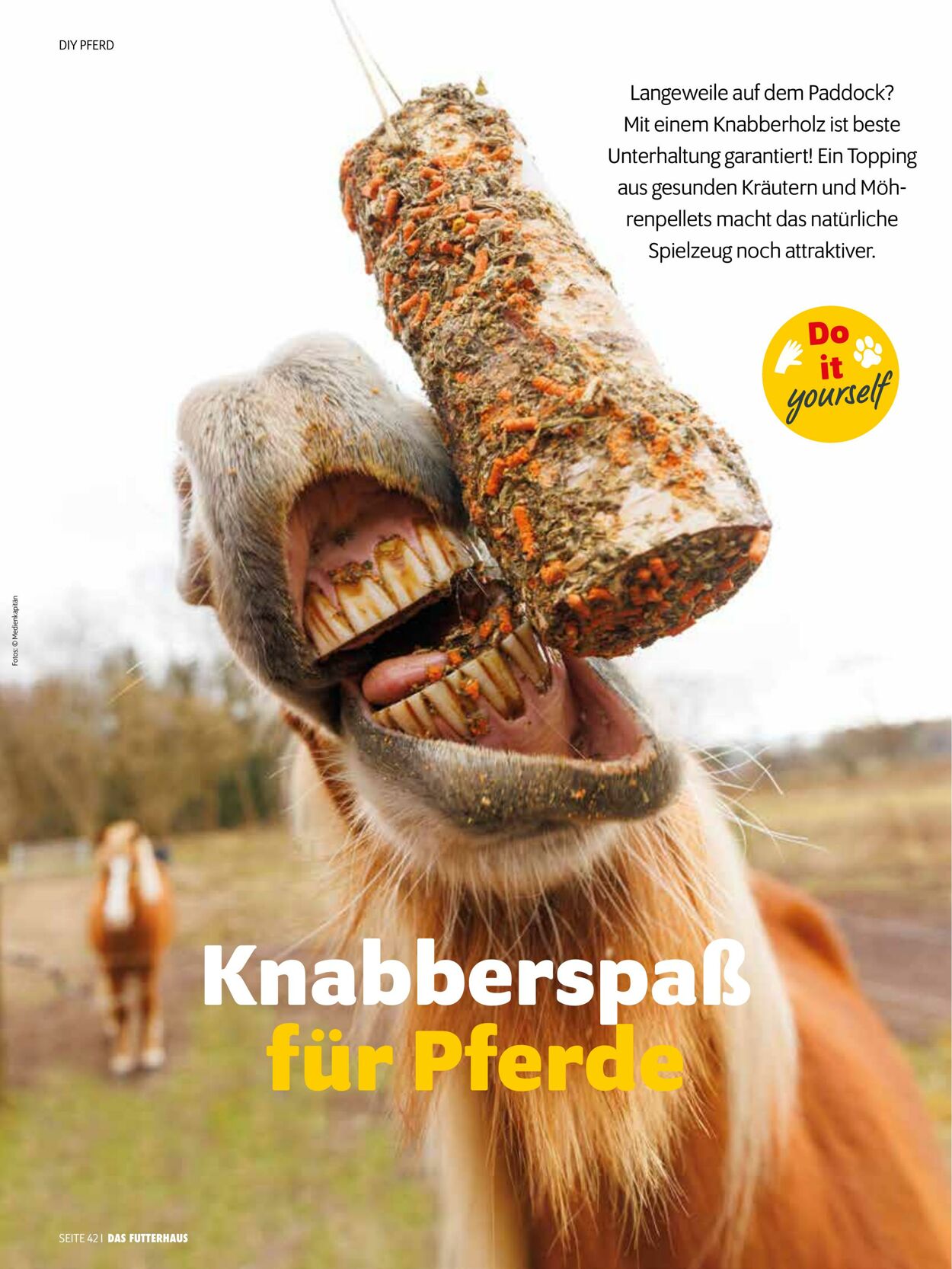 Prospekt Das Futterhaus 01.09.2025 - 30.09.2025