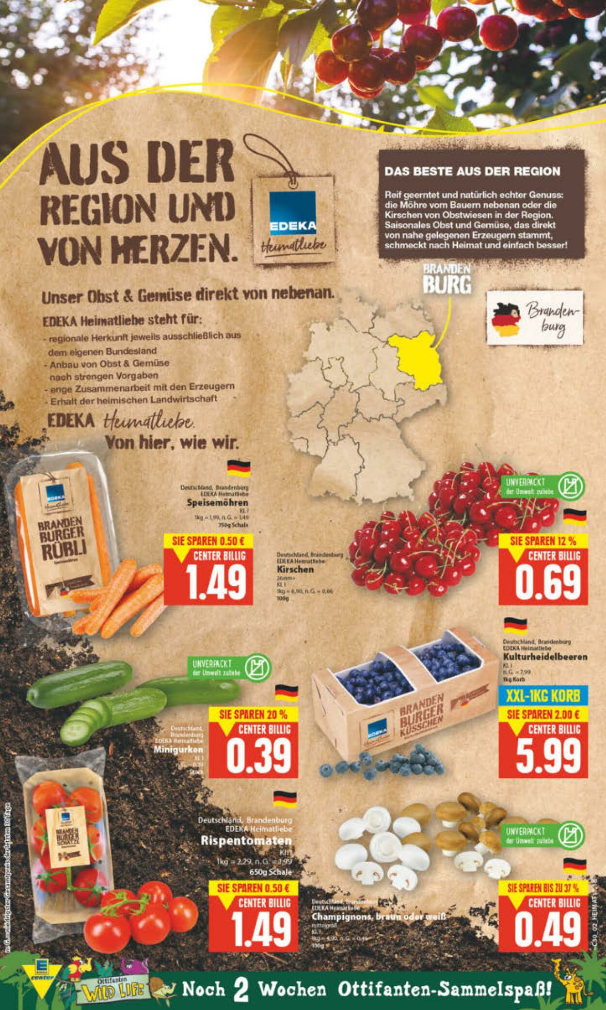 Prospekt Edeka Center 22.07.2023 - 29.07.2023