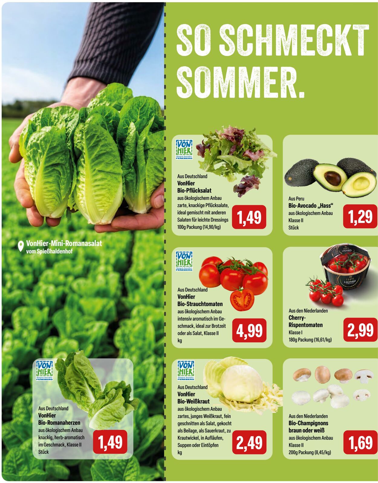 Prospekt Feneberg 29.06.2026 - 05.07.2026