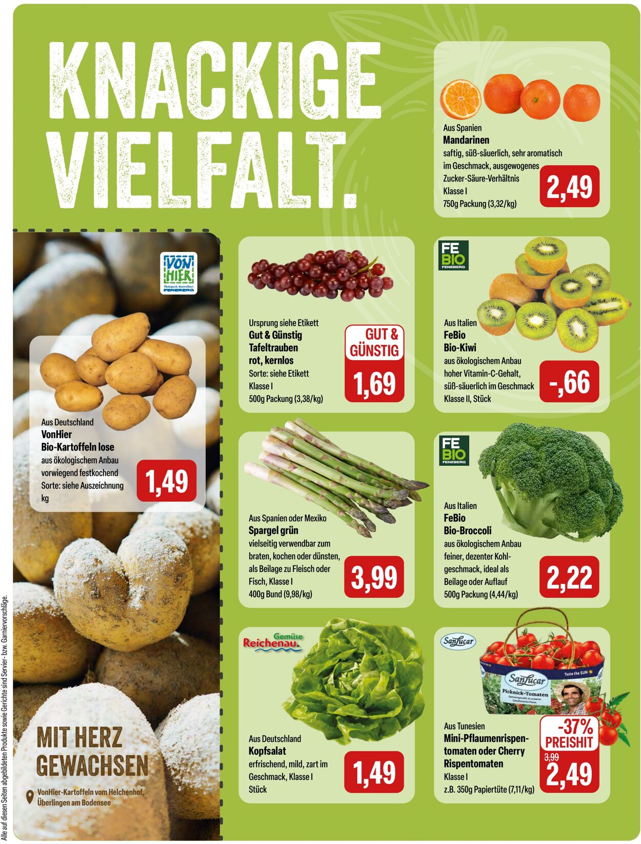 Prospekt Feneberg 02.03.2026 - 08.03.2026