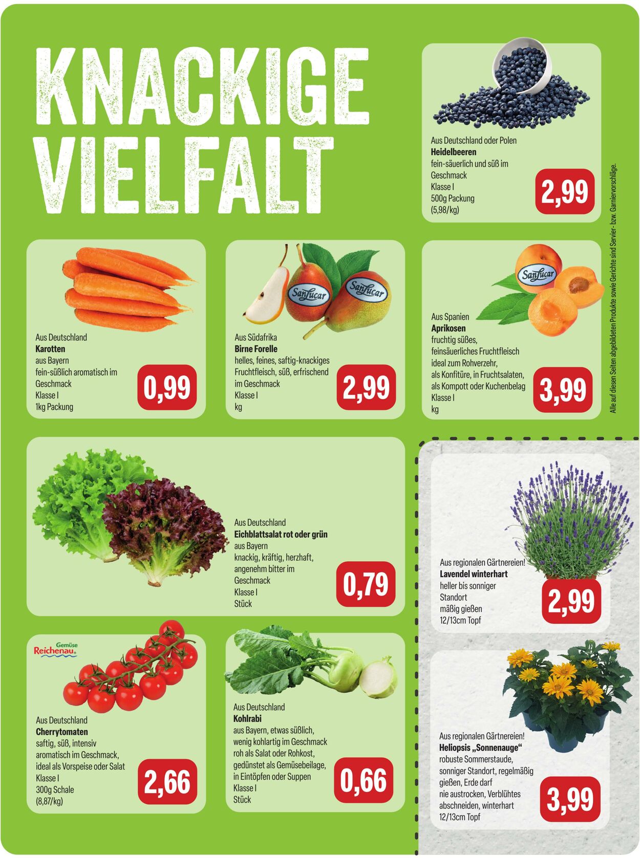 Prospekt Feneberg 20.07.2026 - 26.07.2026