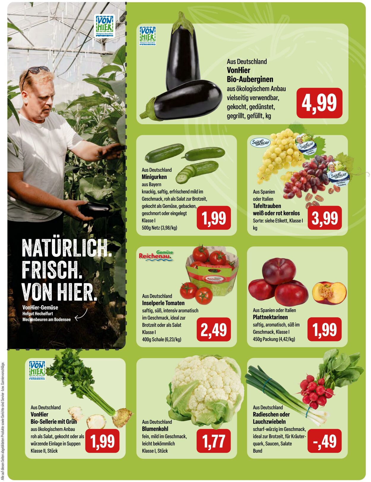 Prospekt Feneberg 25.08.2025 - 31.08.2025
